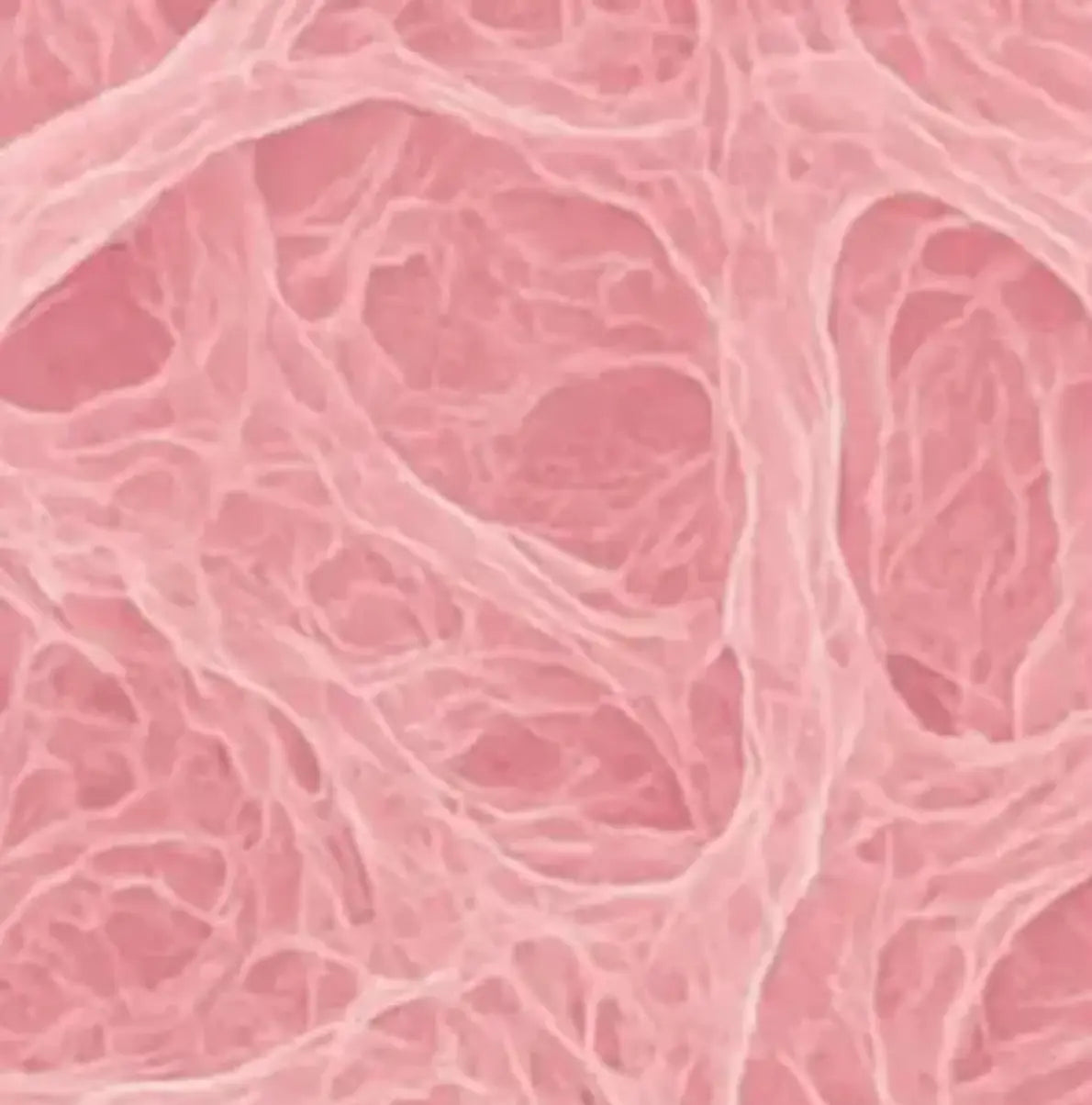 Effet hydratant du collagène sur les couches de l'épiderme