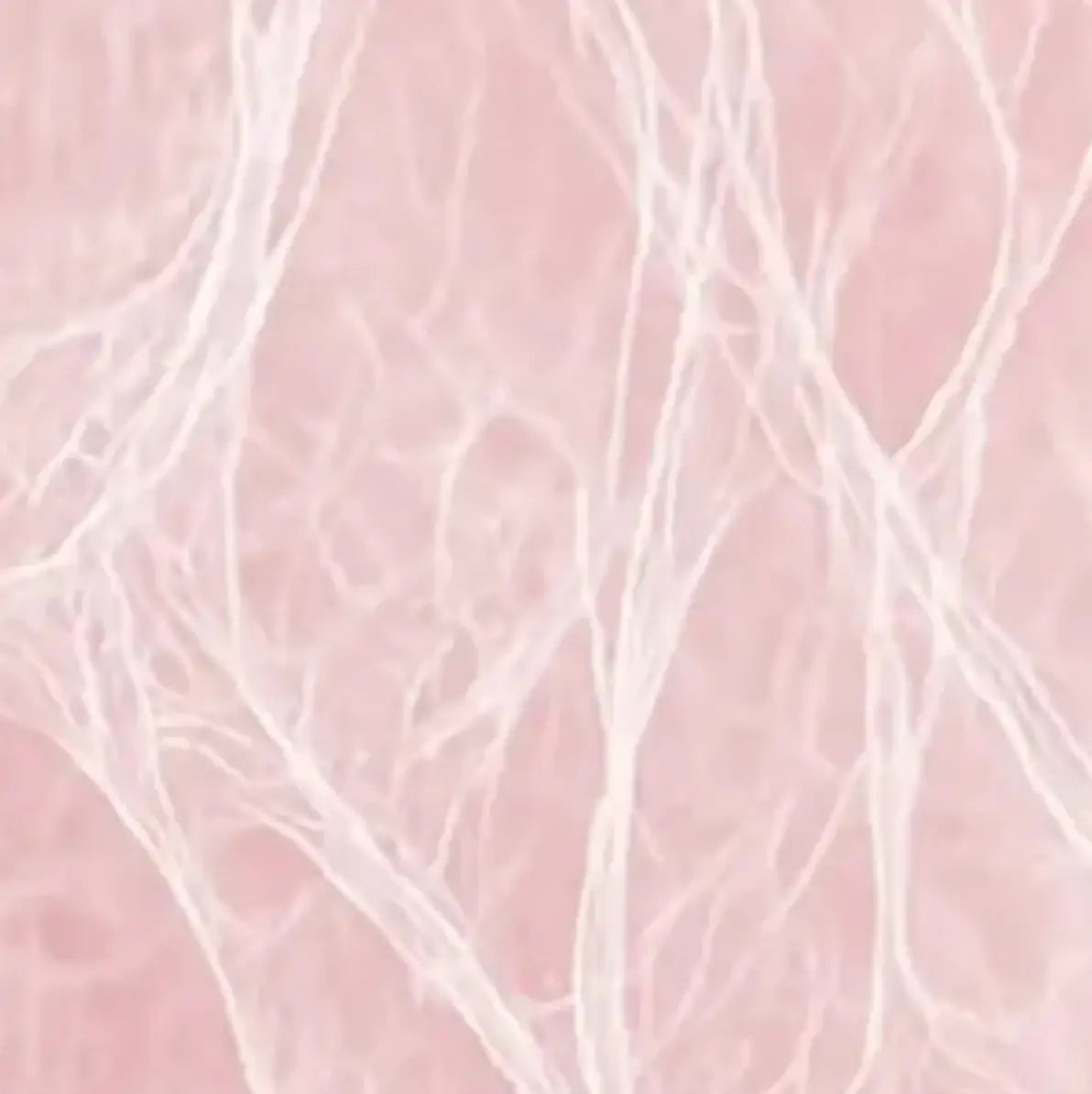 Structure des fibres de collagène pour la fermeté du visage